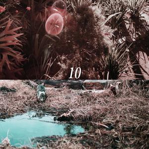 91户外露出网站
