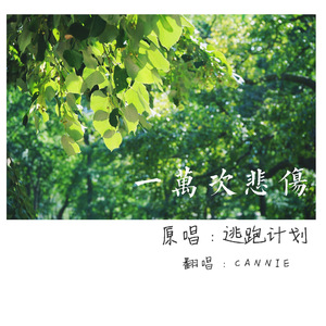 91户外露出网站
