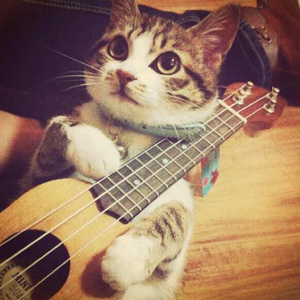 91户外露出网站
