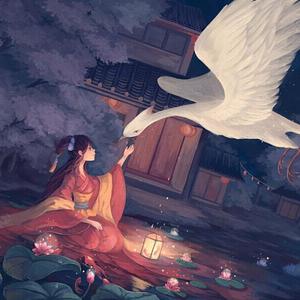 91户外露出网站
